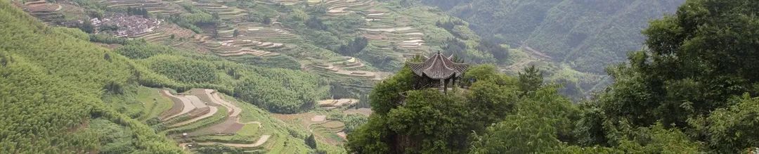 杨伟民:疫情带给我们的反思——遵循城市规律、完善城市治理 杨伟民:疫情带给我们的反思——遵循城市规律、完善城市治理