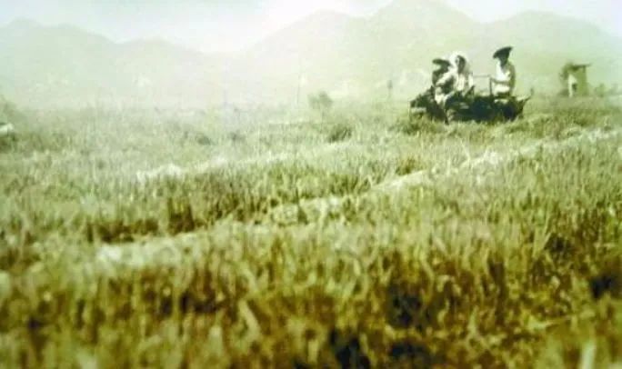 特区轨迹：深圳华侨城（上）