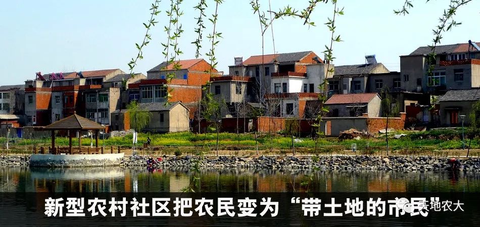 人民日报：“合村并居”问题能否在《民法典》里找到答案？