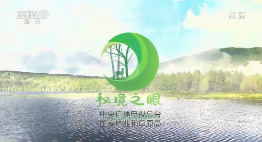太有爱！《秘境之眼》2020年精彩影像评选结果揭晓→