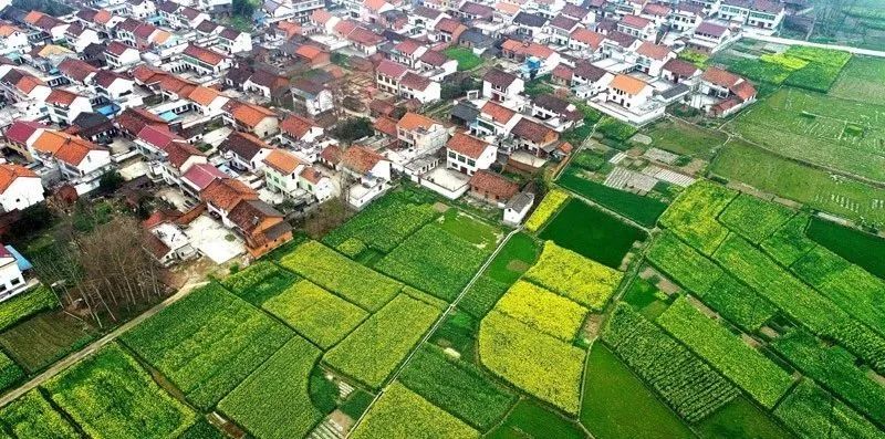 资讯︱广东省农业农村厅解读广东农村宅基地政策