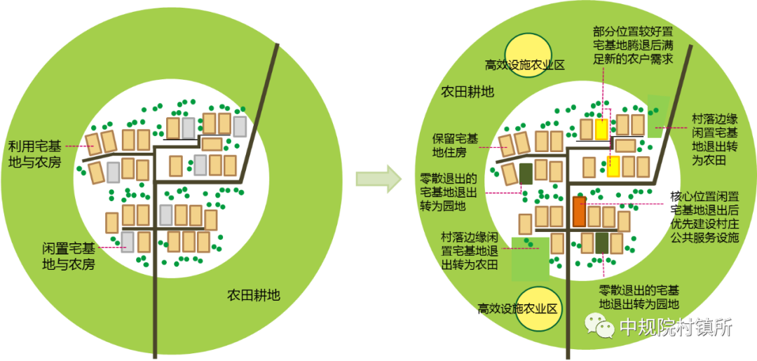从“撤村并居”到“因户施策”：破解乡村土地问题的规划思路