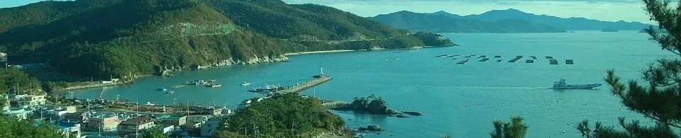 杨保军、王军:山水人文智慧引领下的历史城市保护更新研究 杨保军、王军:山水人文智慧引领下的历史城市保护更新研究