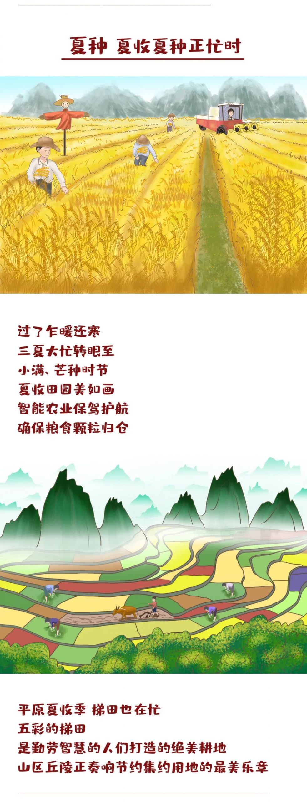 特别绘制 | 节气“拍了拍”土地