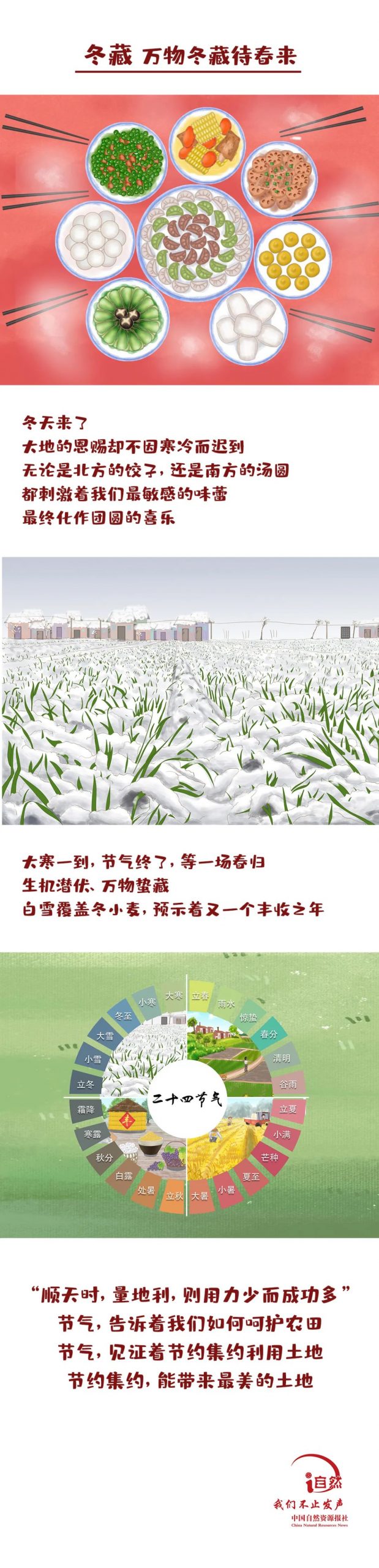 特别绘制 | 节气“拍了拍”土地