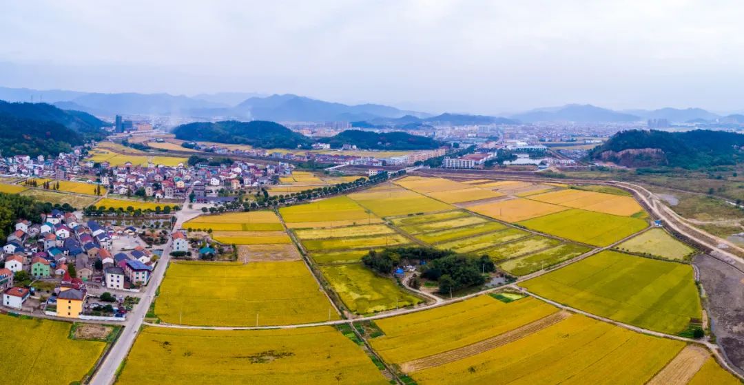 也说“合村并居”、“村民上楼”