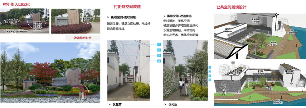 品村 | 乘风好借力，特色正当时——以无锡市锡山区锡北镇周家堂为例