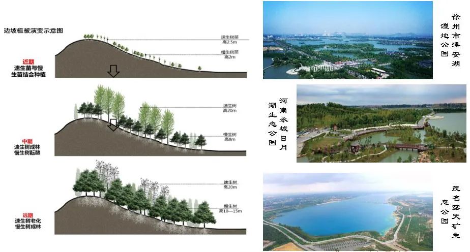 研究︱空间治理视角下露天废弃矿山生态修复的简析