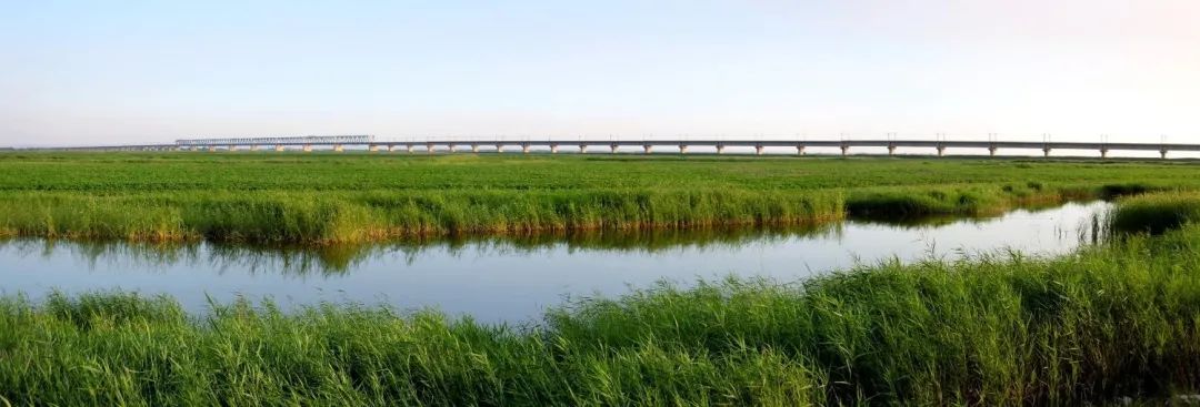 城市体检评估成果交流:包头绿色发展篇 城市体检评估成果交流:包头绿色发展篇