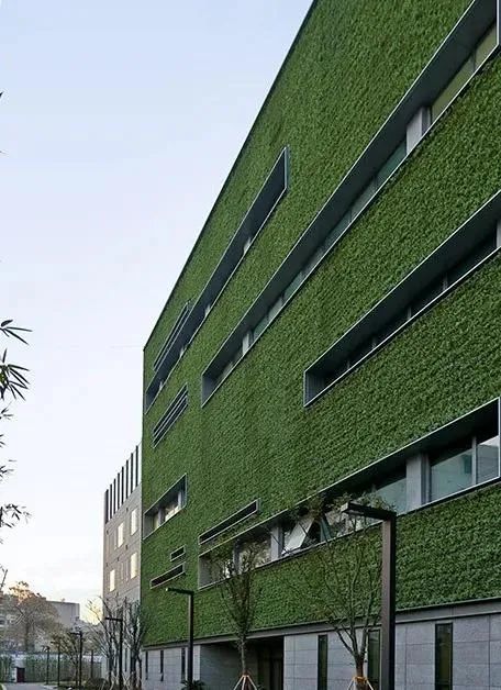 城市双修的江苏实践 | 南京：抓保护，促更新，精修复，建设美丽古都
