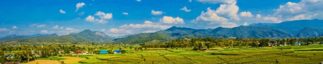 当端午遇上全国土地日:万水千山粽是情 当端午遇上全国土地日:万水千山粽是情