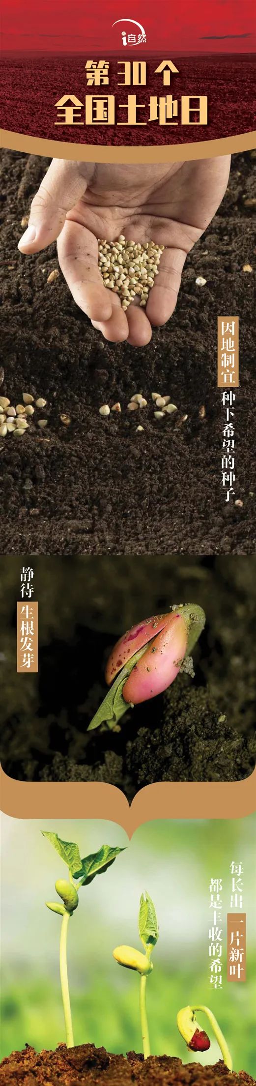 长图 | 让每一寸耕地都成为丰收的沃土