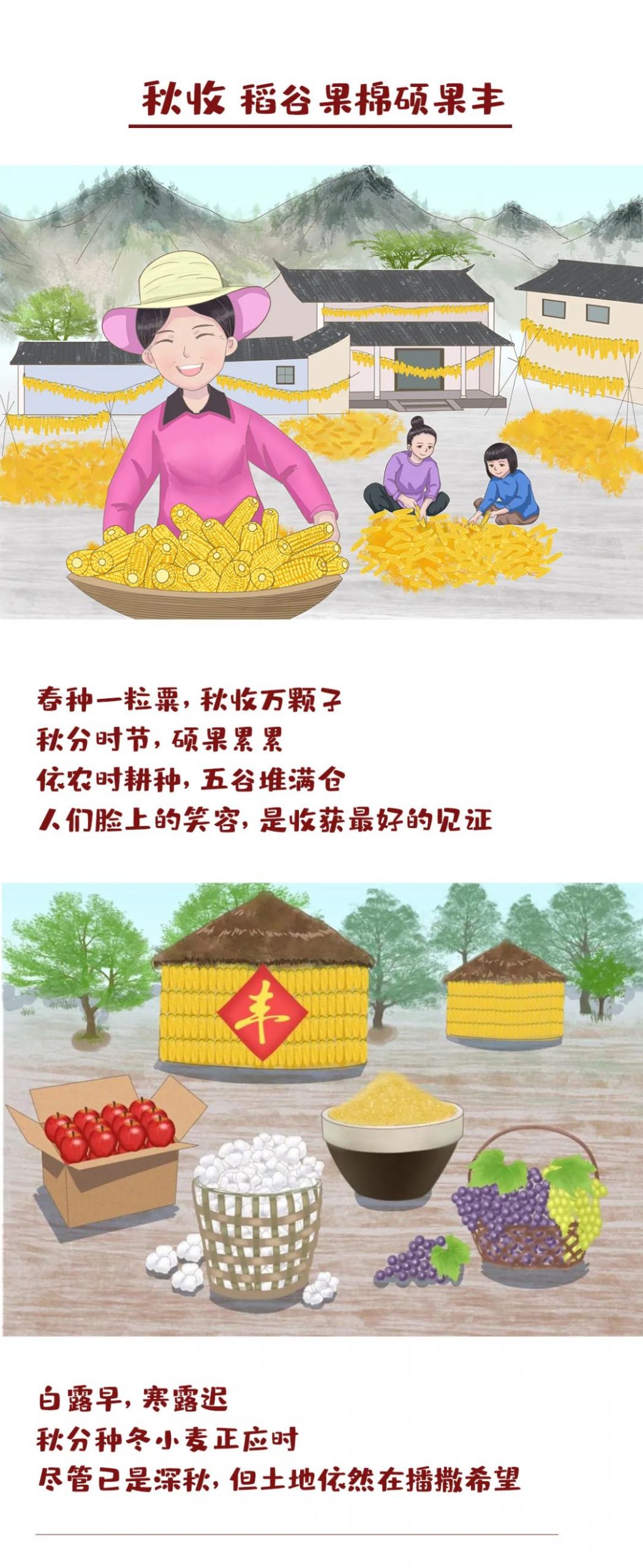 特别绘制 | 节气“拍了拍”土地