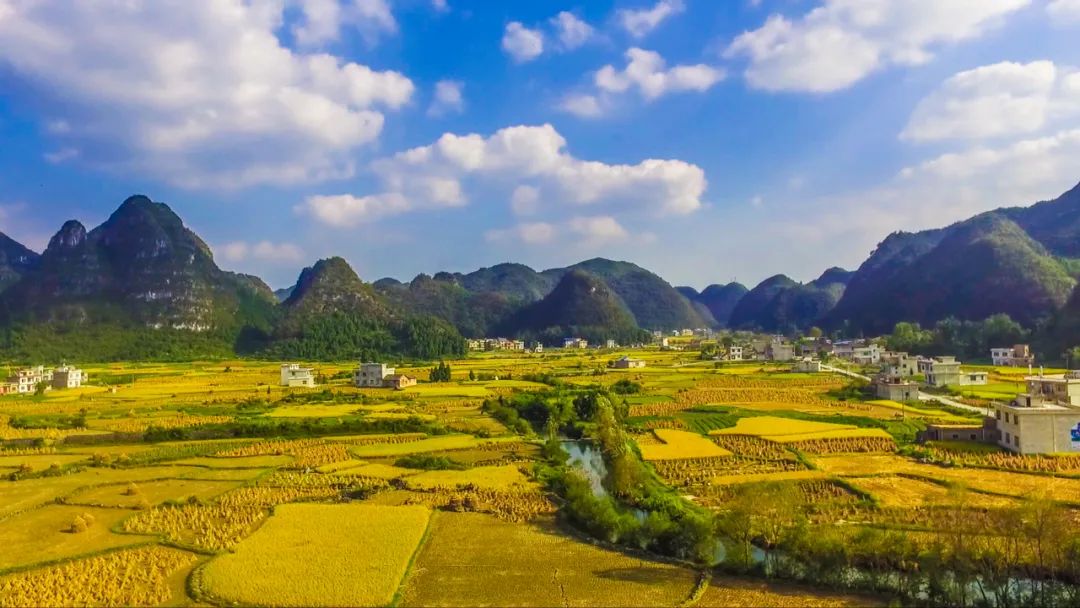 魏莉华 |《土地管理法》的变与不变