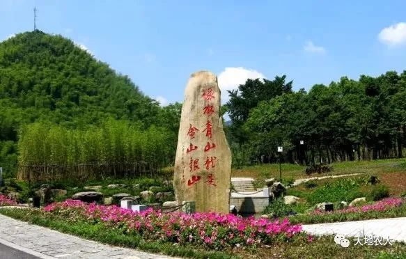 温铁军:大疫止于村野 温铁军:大疫止于村野