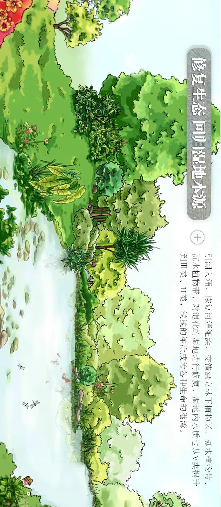 一图读懂｜聚焦自然和生物多样性，守护“城央绿心，鱼鸟天堂”