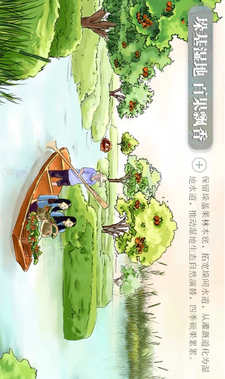 一图读懂｜聚焦自然和生物多样性，守护“城央绿心，鱼鸟天堂”