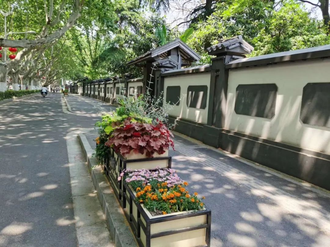 新增38处开放院落，南京颐和路街区要做国际“文化客厅”