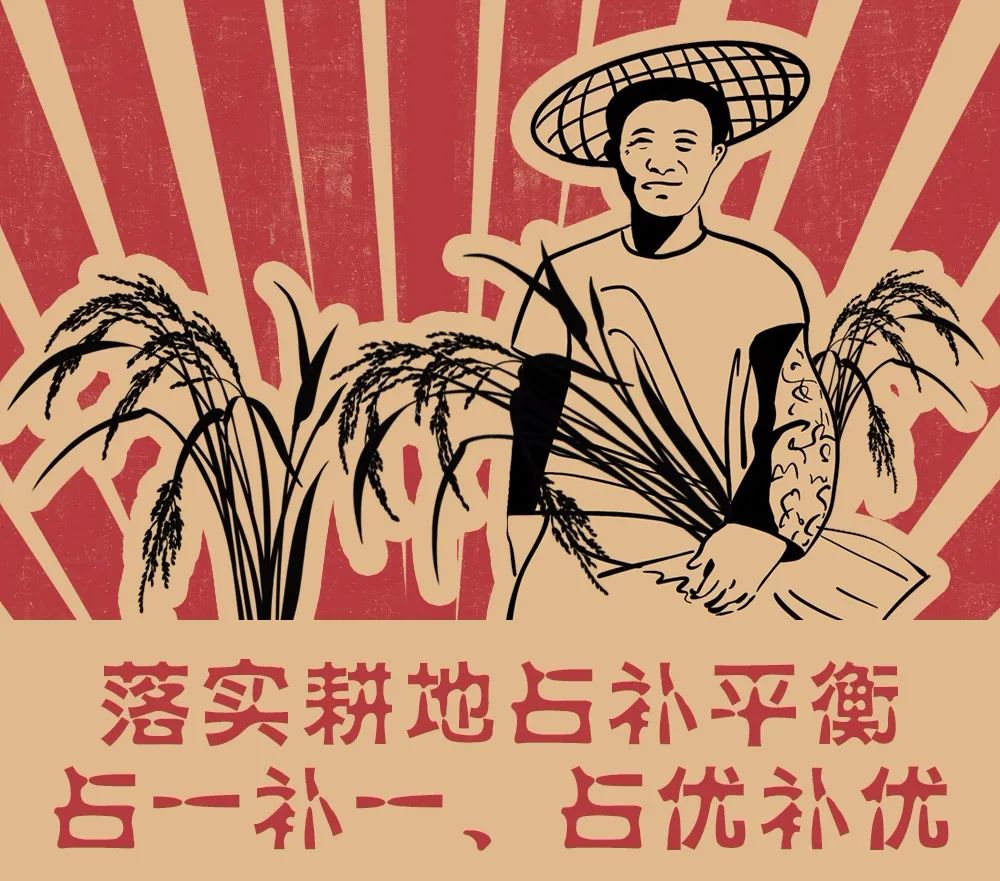 像保护大熊猫一样保护耕地！