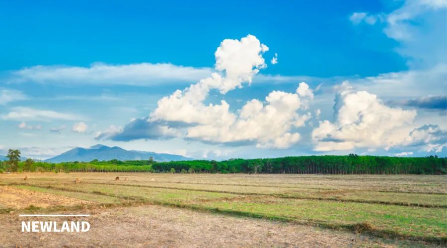 董祚继 | 从土地利用规划到国土空间规划