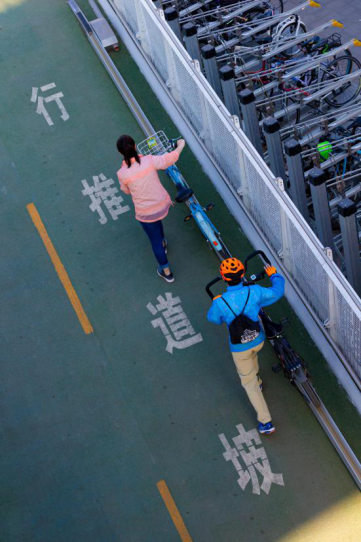 我们的城市丨穿越城市的绿色之路——从自行车专用路到城市慢行系统规划