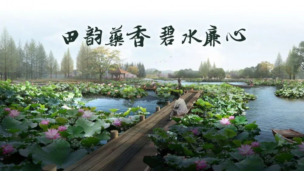 品村 | 乘风好借力，特色正当时——以无锡市锡山区锡北镇周家堂为例