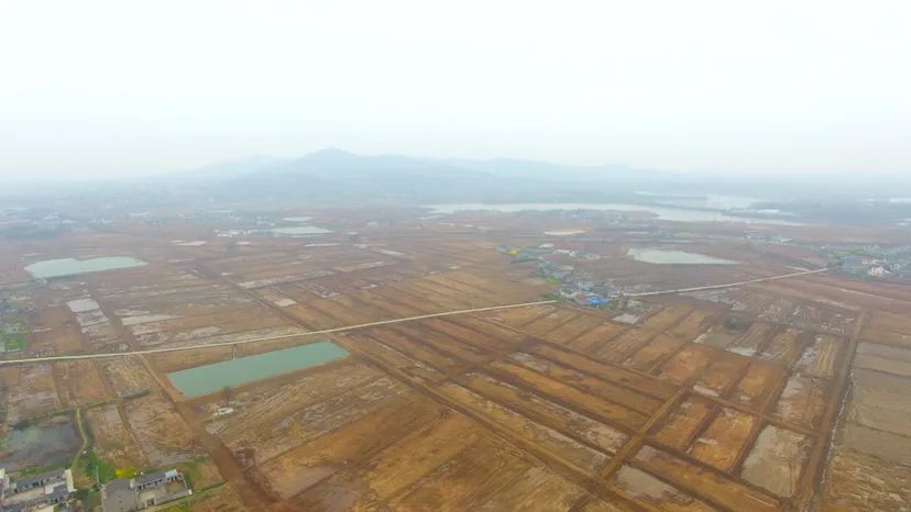 土地综合整治,南京“烧饼田”“油条沟”变身高效耕地 土地综合整治,南京“烧饼田”“油条沟”变身高效耕地