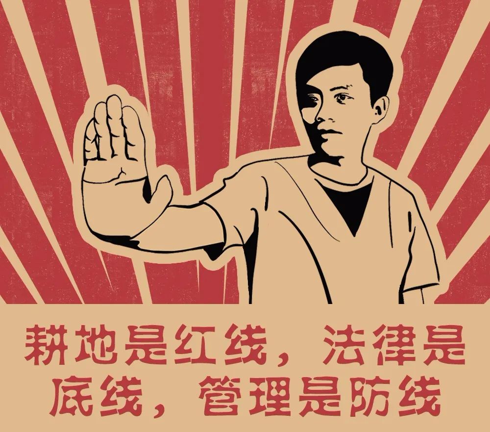 像保护大熊猫一样保护耕地！