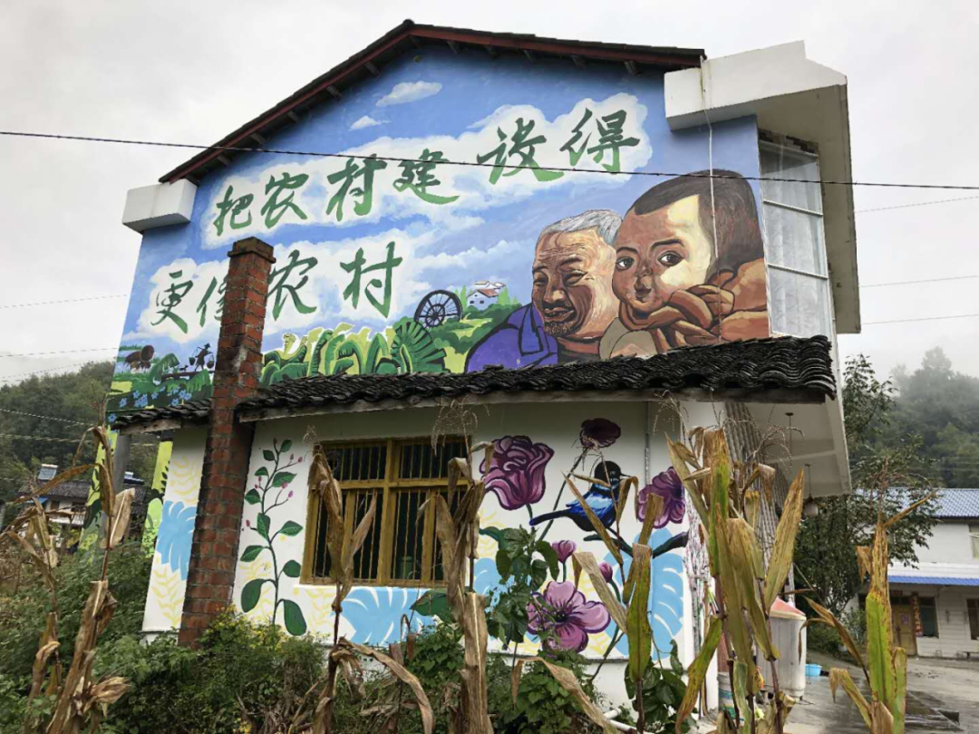 乡村，寻找亲妈