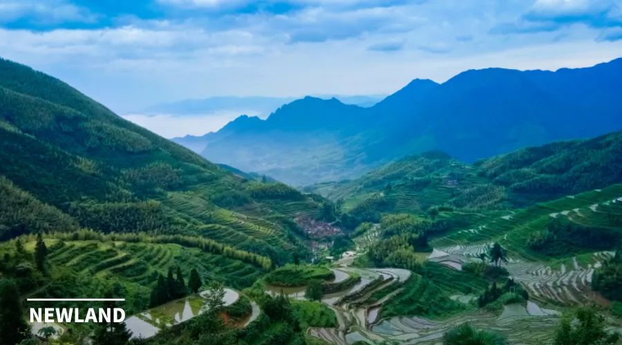 回顾 | 丁冬:撤村并居中的土地问题：现状、原因与对策