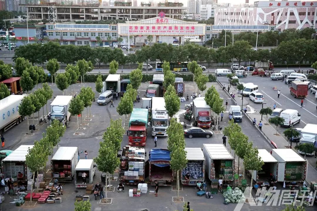 尹稚:技术堆不出智慧美好的城市,人文价值决定世界好坏 尹稚:技术堆不出智慧美好的城市,人文价值决定世界好坏