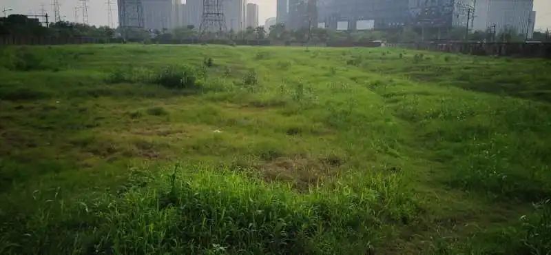 市土地储备交易中心“三个到位”确保储备地块汛期安全