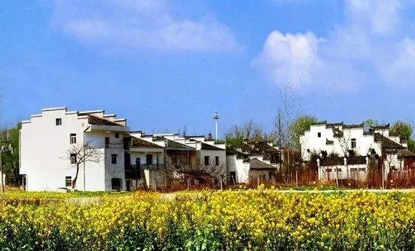 张天佐:准确把握乡村治理的方向和重点 张天佐:准确把握乡村治理的方向和重点