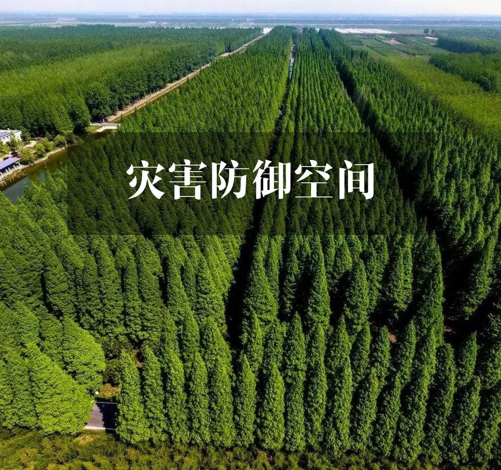 城市安全防灾：“自然法规是最高的法规”
