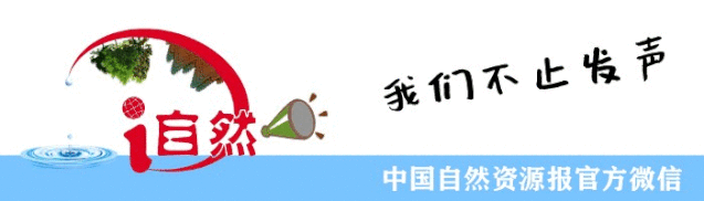 “鲜”头条 | 这起“山崩”缘何零伤亡 “鲜”头条 | 这起“山崩”缘何零伤亡