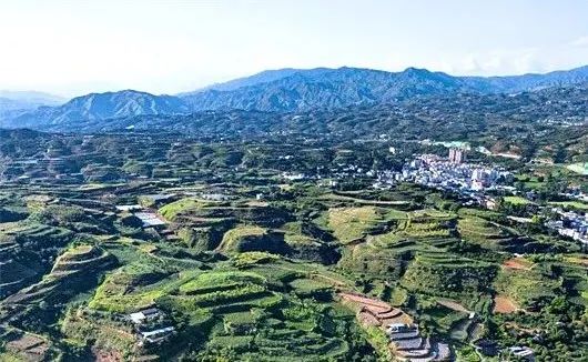 发展规划和国土空间规划协同：难点与建议