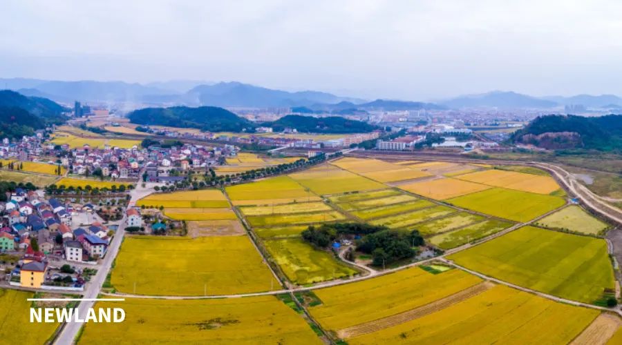 废弃土地如何做生态修复？