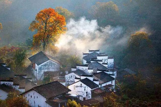 张天佐:准确把握乡村治理的方向和重点 张天佐:准确把握乡村治理的方向和重点