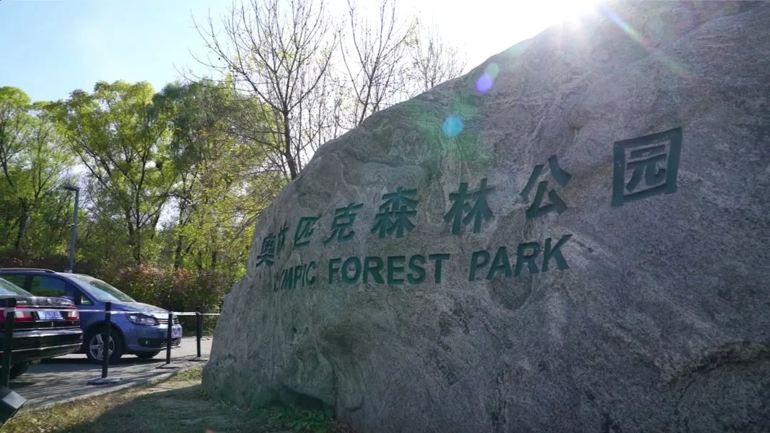 奥林匹克建筑群:古老中轴线上的新风景 奥林匹克建筑群:古老中轴线上的新风景
