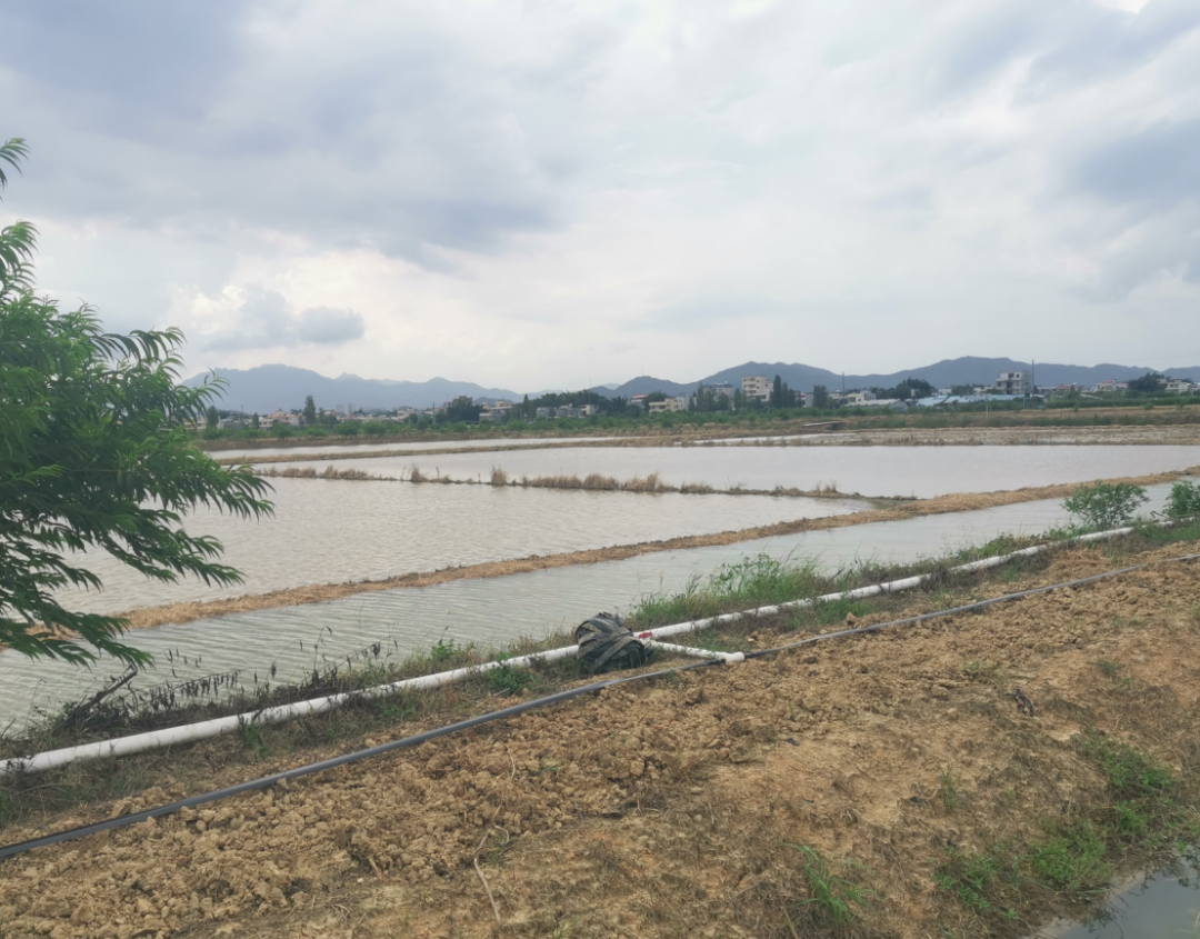 国地科技参加全省高标准农田惠州现场观摩会——领略高标准农田建设的“新内涵、新模式、新技术” 国地科技参加全省高标准农田惠州现场观摩会——领略高标准农田建设的“新内涵、新模式、新技术”