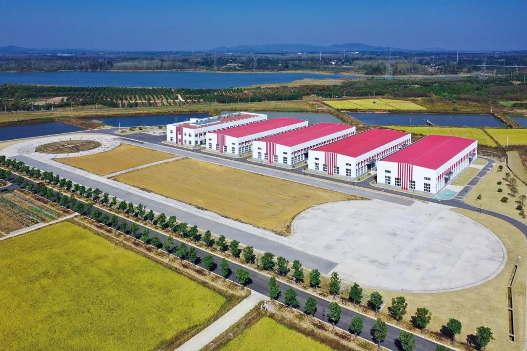 南京上半年GDP增速继续领跑  收获九个全省第一！