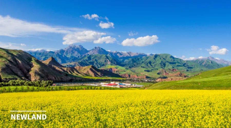 回顾 | 丁冬:撤村并居中的土地问题：现状、原因与对策