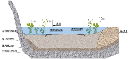 南京园博园 | 打造顶级山地花园群之生态修复理念的相关实践