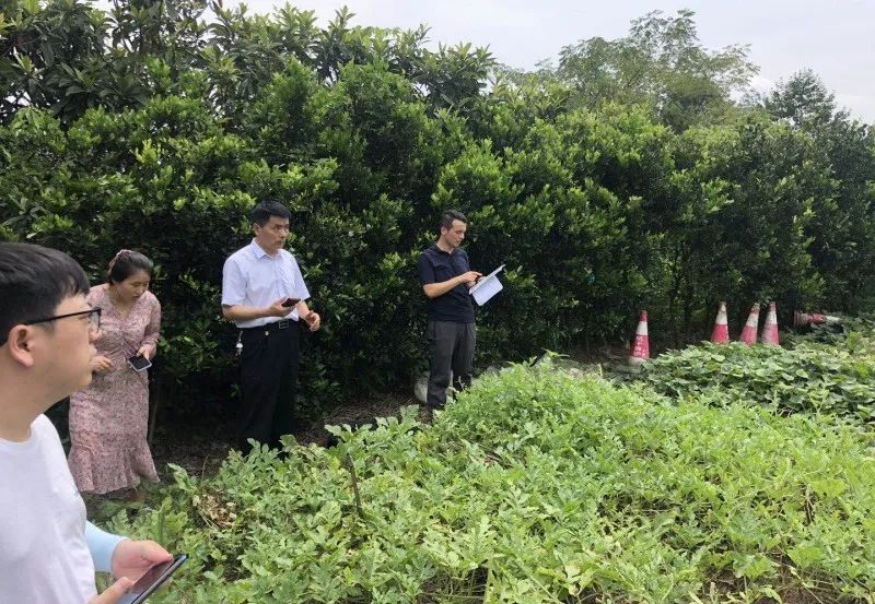杭州市三调办“七月决战”在行动