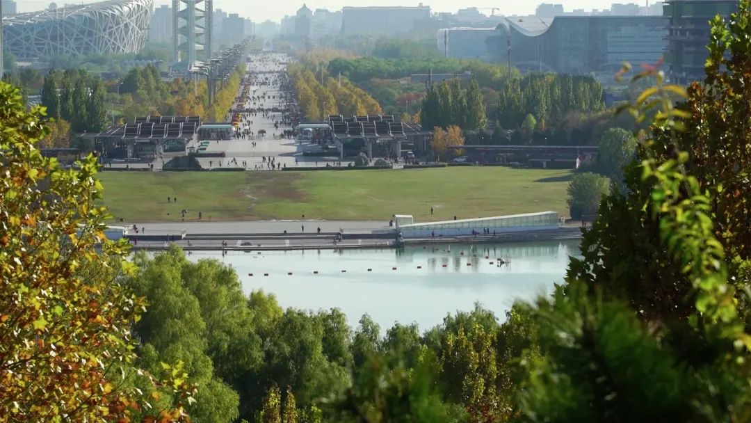 奥林匹克建筑群:古老中轴线上的新风景 奥林匹克建筑群:古老中轴线上的新风景