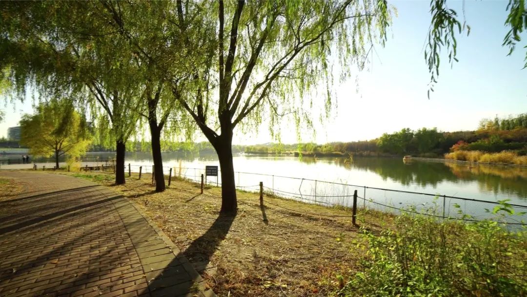 奥林匹克建筑群:古老中轴线上的新风景 奥林匹克建筑群:古老中轴线上的新风景