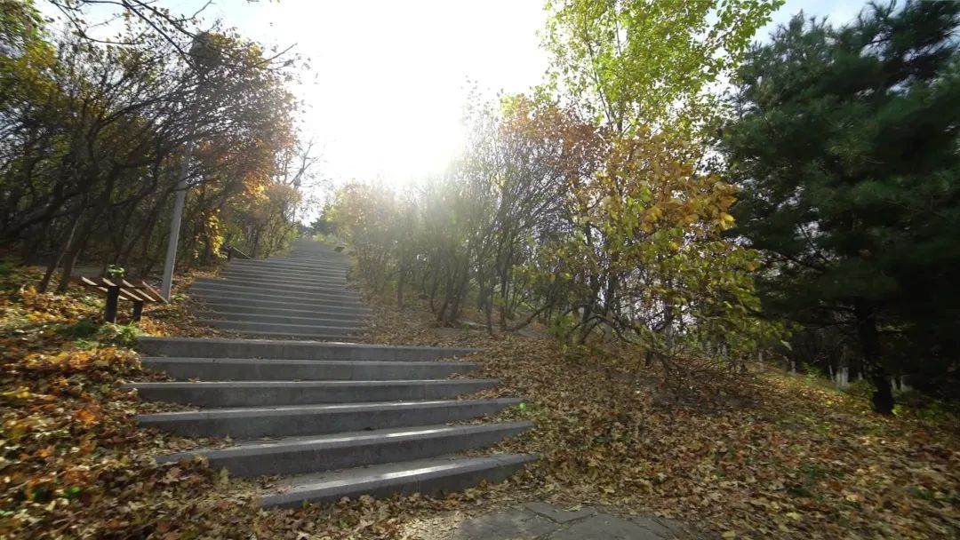 奥林匹克建筑群:古老中轴线上的新风景 奥林匹克建筑群:古老中轴线上的新风景