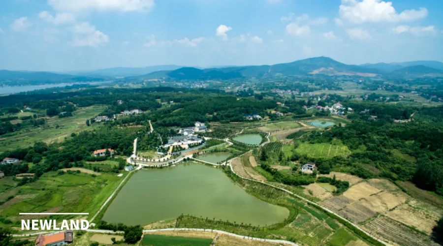 回顾 | 丁冬:撤村并居中的土地问题：现状、原因与对策