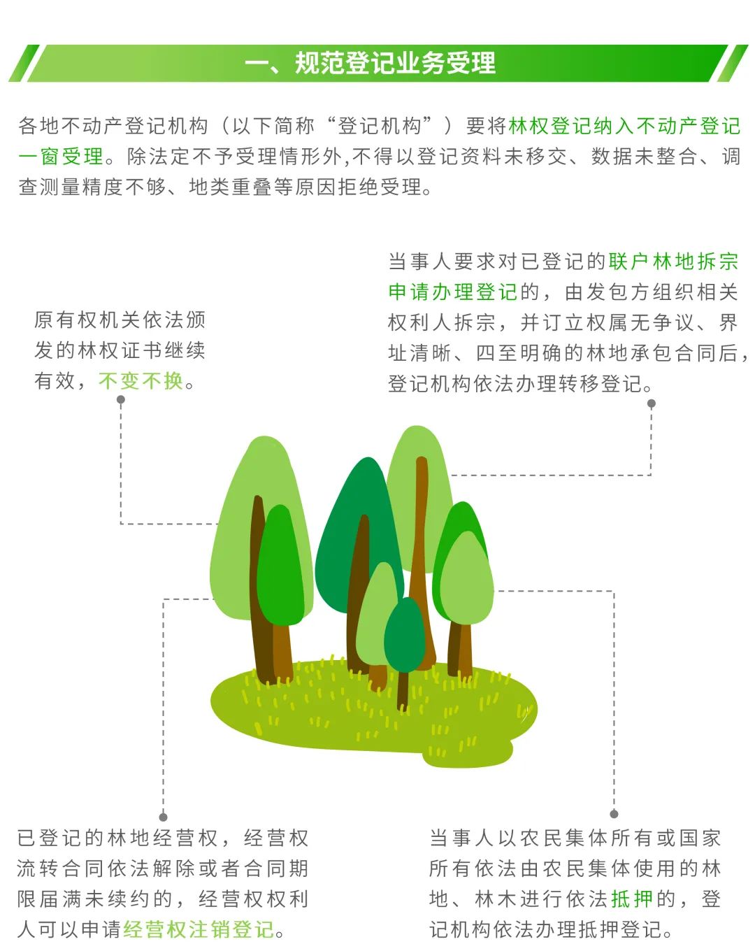 图解:如何规范林权类不动产登记 图解:如何规范林权类不动产登记