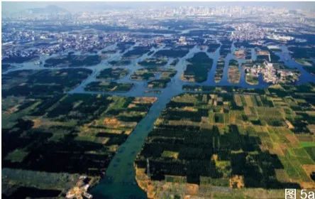 2020年第1期 | 丁俊清 | 温州民居理水文化
